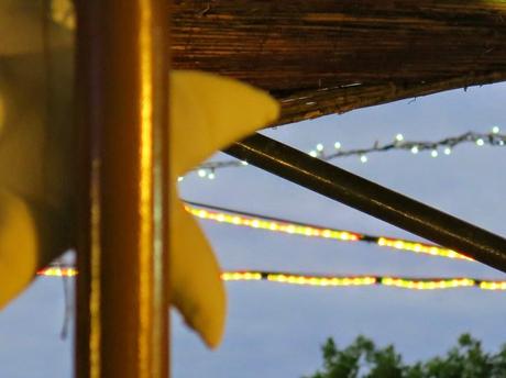 Una boda diferente, porque la pareja lo es