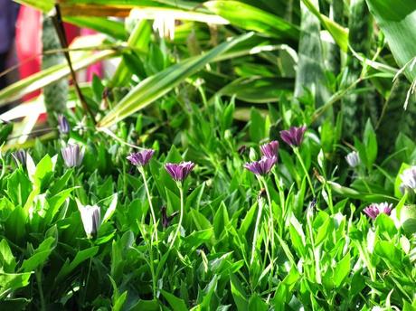 Una boda diferente, porque la pareja lo es