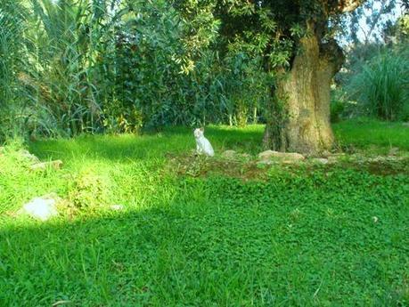 Plasticidad neuronal