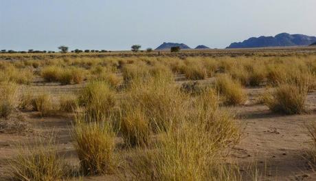 Aousserd,  En busca del desierto.