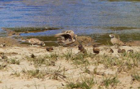Aousserd,  En busca del desierto.