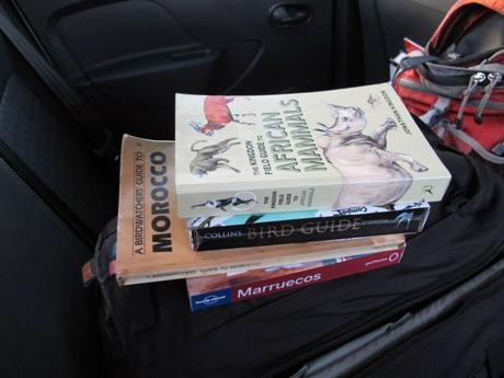 Aousserd,  En busca del desierto.