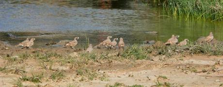 Aousserd,  En busca del desierto.