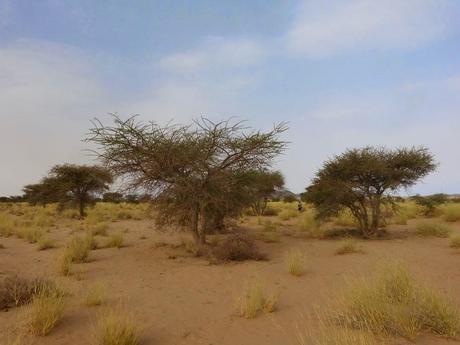 Aousserd,  En busca del desierto.