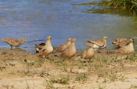 Aousserd,  En busca del desierto.