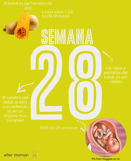 Semana 28 Embarazo | Week 28 Pregnancy