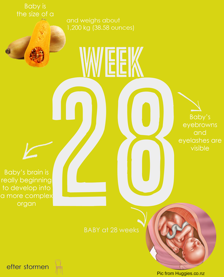 Semana 28 Embarazo | Week 28 Pregnancy