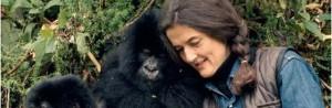 Fossey día su vida por conocer y proteger a los gorilas