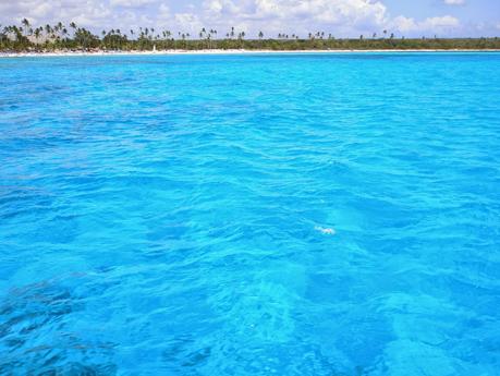 Crece ingresos por llegada de turistas