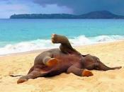 Volvemos vacaciones