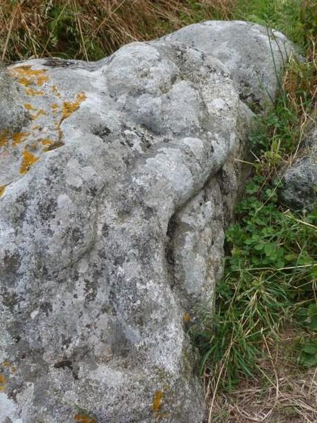 La “Pedra da Serpe”. (Gondomil, La Coruña). Un Monumento único y excepcional. pedra da serpe