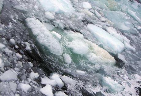burbujas de metano en el hielo marino del Ártico