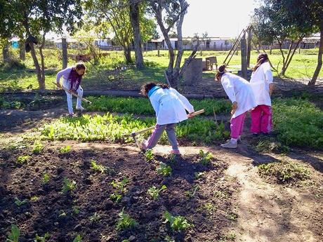 Ayúdenos a ayudar.  EES n 149 Colonia Tacuari Paraje los Naranjitos.Provincia del Chaco