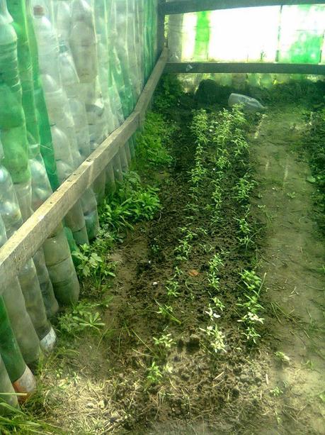 Ayúdenos a ayudar.  EES n 149 Colonia Tacuari Paraje los Naranjitos.Provincia del Chaco