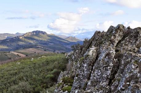 Mis sitios favoritos para ver aves: Las Villuercas