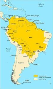 360px-Yellow_fever_South_America_2009