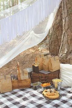 Cómo organizar un picnic