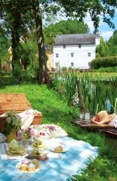 Cómo organizar un picnic