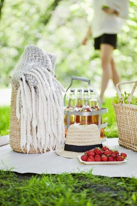 Cómo organizar un picnic