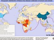 ébola Héroes anónimos.