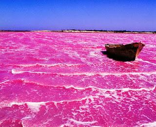 El lago Hiller y su misterioso color rosa.