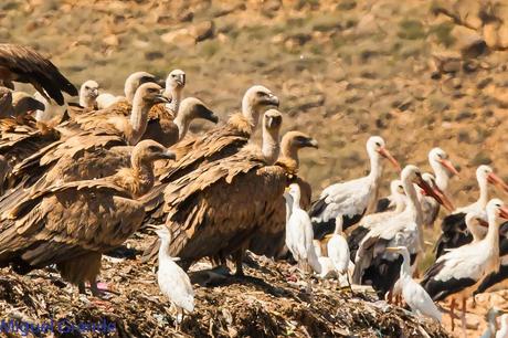 AGOSTO POR LA RIBERA DE NAVARRA-AUGUST BY  NAVARRE