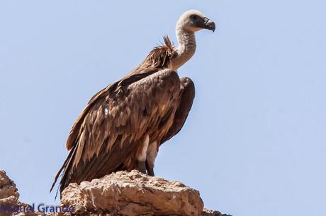 AGOSTO POR LA RIBERA DE NAVARRA-AUGUST BY  NAVARRE