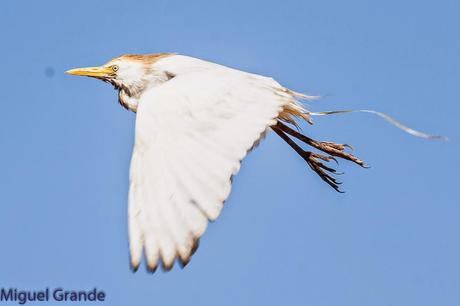 AGOSTO POR LA RIBERA DE NAVARRA-AUGUST BY  NAVARRE