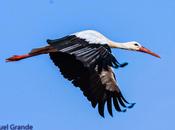 Agosto ribera navarra-august navarre