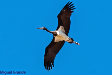 AGOSTO POR LA RIBERA DE NAVARRA-AUGUST BY  NAVARRE