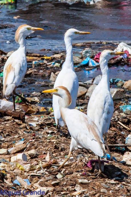 AGOSTO POR LA RIBERA DE NAVARRA-AUGUST BY  NAVARRE