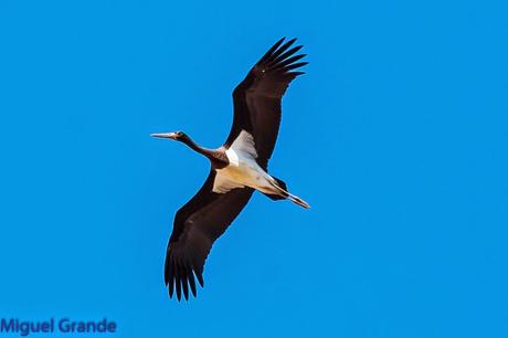 AGOSTO POR LA RIBERA DE NAVARRA-AUGUST BY  NAVARRE