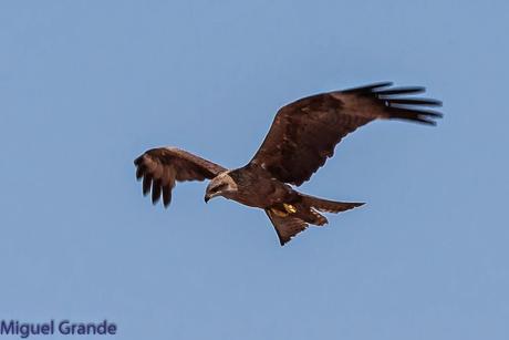 AGOSTO POR LA RIBERA DE NAVARRA-AUGUST BY  NAVARRE