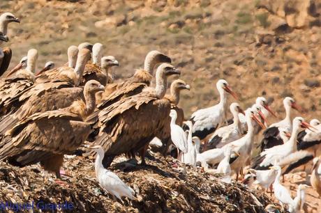 AGOSTO POR LA RIBERA DE NAVARRA-AUGUST BY  NAVARRE