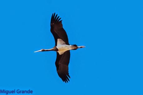 AGOSTO POR LA RIBERA DE NAVARRA-AUGUST BY  NAVARRE