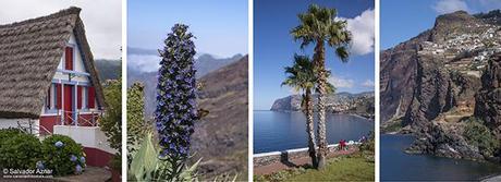 Isla de Madeira