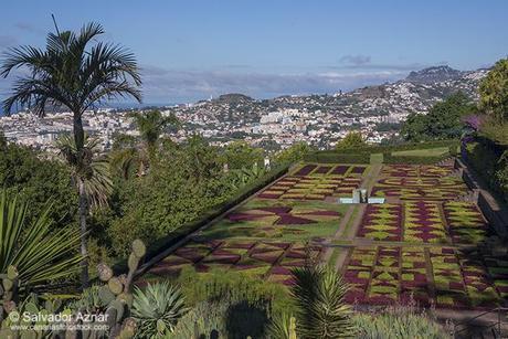 Isla de Madeira