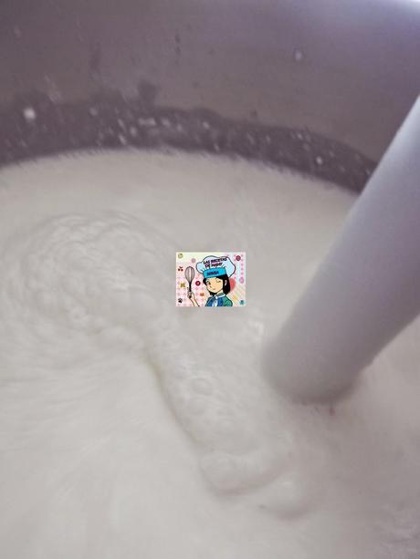 TARTA DE QUESO DE BOLA EN MI OLLA ERIKA