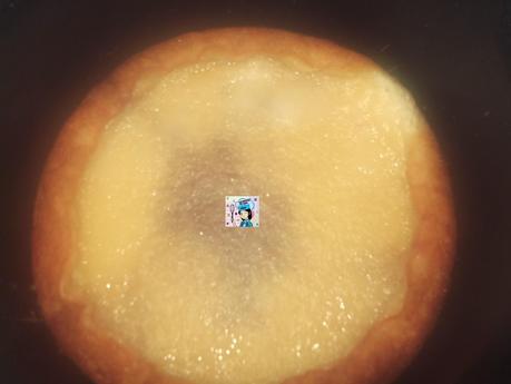 TARTA DE QUESO DE BOLA EN MI OLLA ERIKA