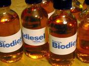 Como hacer biodisel casero