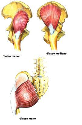 Entrenamiento de glúteos para hombres y mujeres.