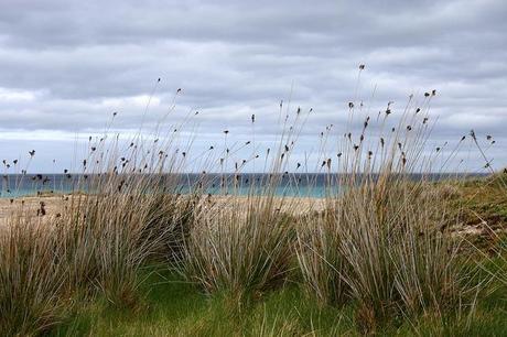 baldaio_12_20140405 - Version 2