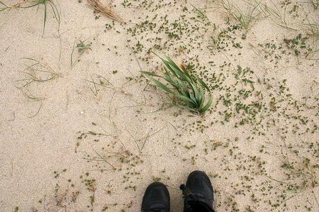 baldaio_16_20140405 - Version 2