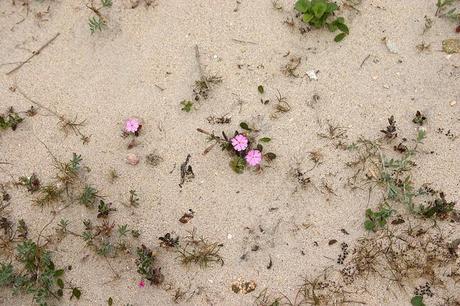 baldaio_7_20140405 - Version 2