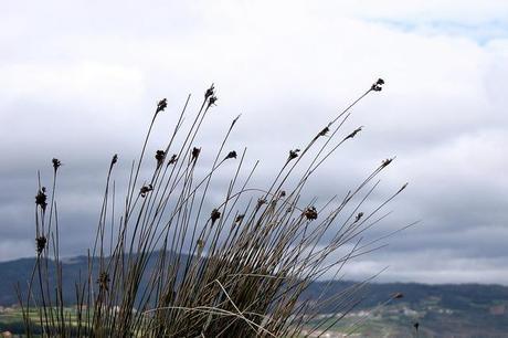 baldaio_4_20140405 - Version 2