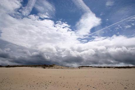 baldaio_44_20140405 - Version 2