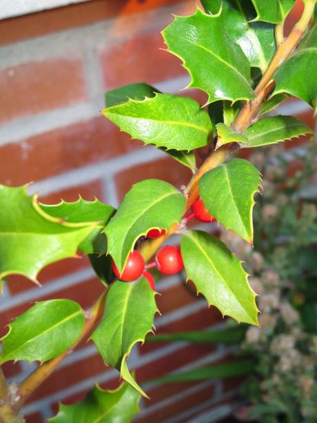 ¡¡¡Ya llega la primavera!!!