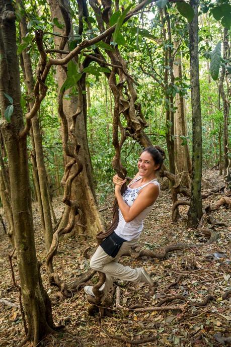 Tarzana en el parque de Tangkoko, Sulawesi