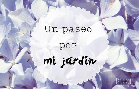 Un paseo por mi jardín #ecofriendly 