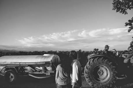 SESIÓN PREBODA ENTRE VIÑEDOS - BODEGA RIBAS -